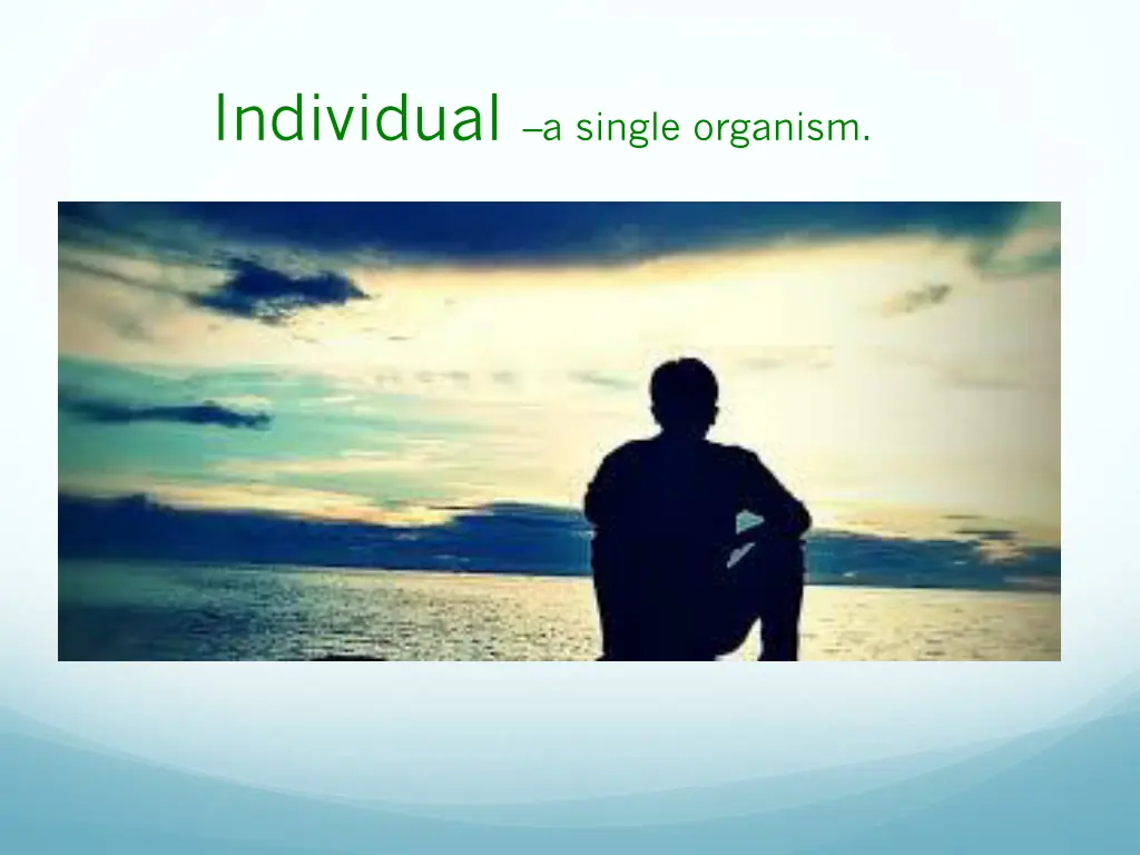 individual a single organism