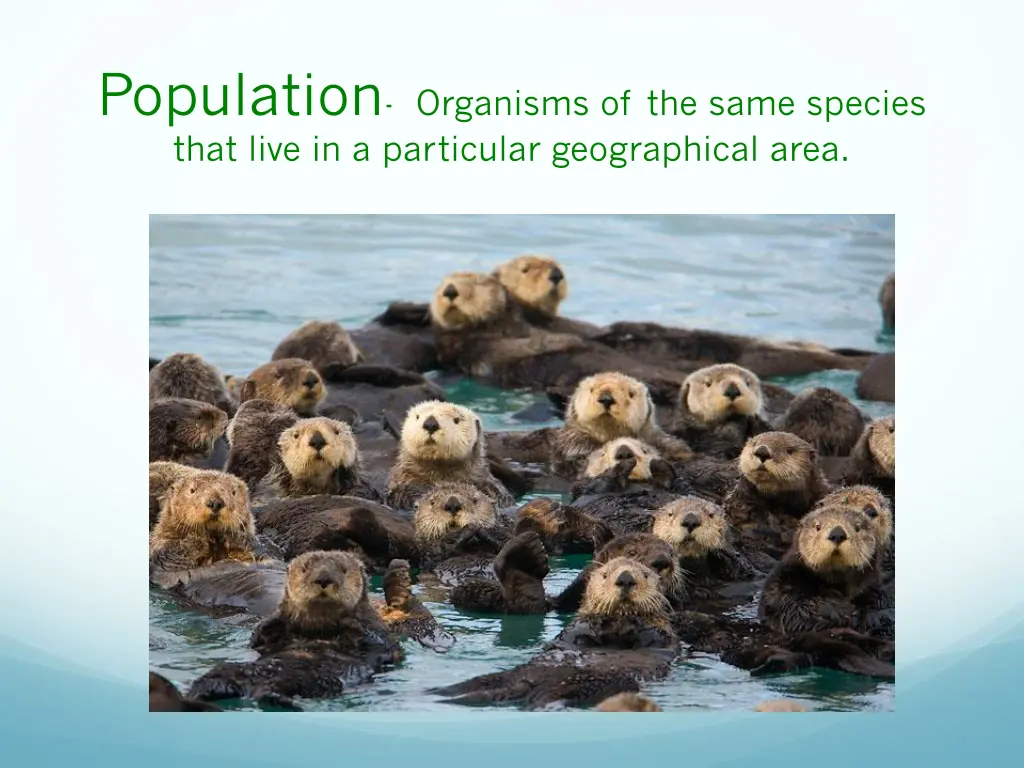 population organisms of the same species that