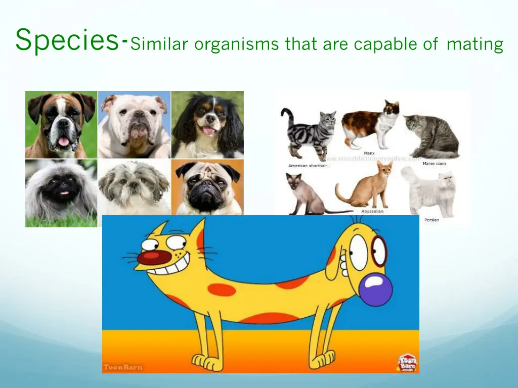 species similar organisms that are capable