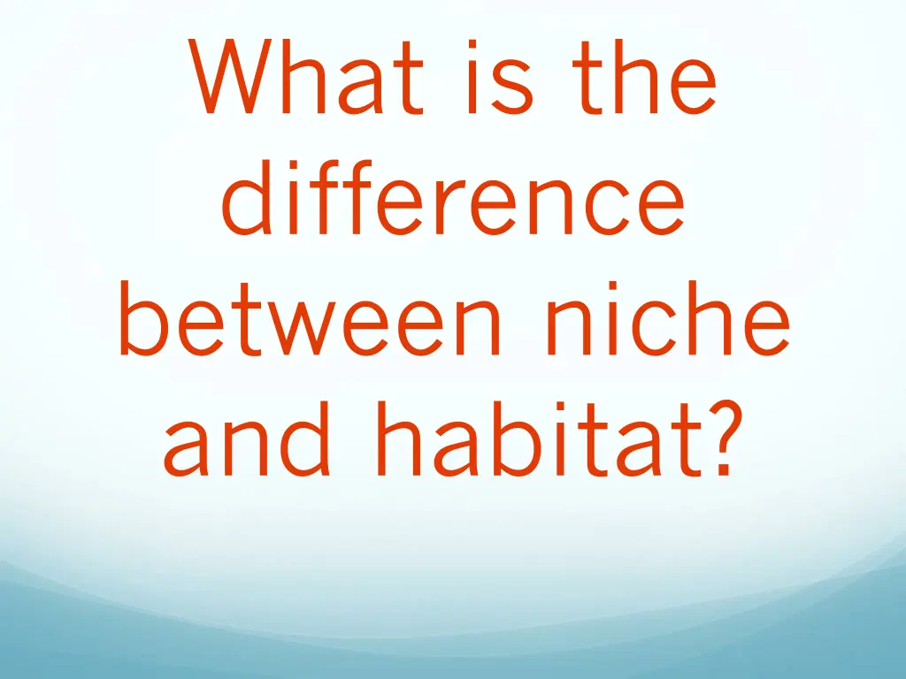 what is the difference between niche and habitat