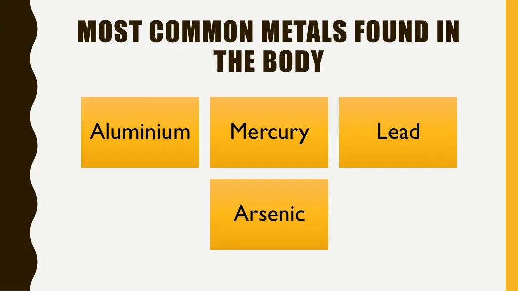 most common metals found in the body