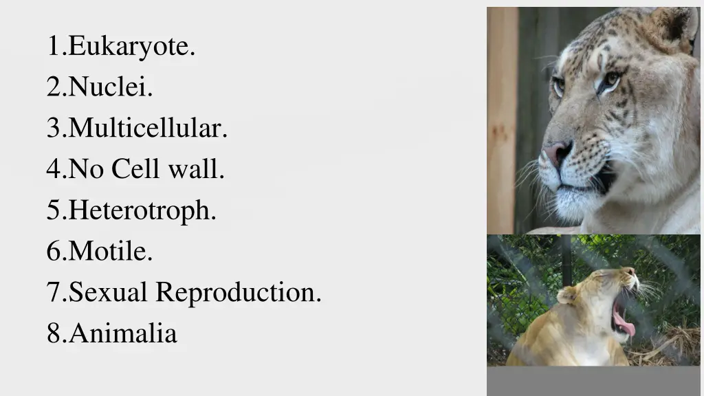 1 eukaryote 2 nuclei 3 multicellular 4 no cell