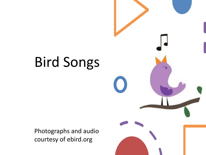 bird songs