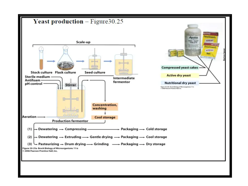 slide12