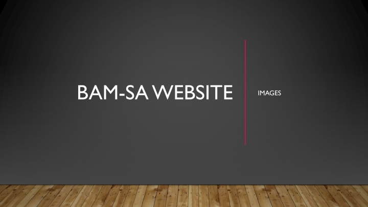 bam sa website