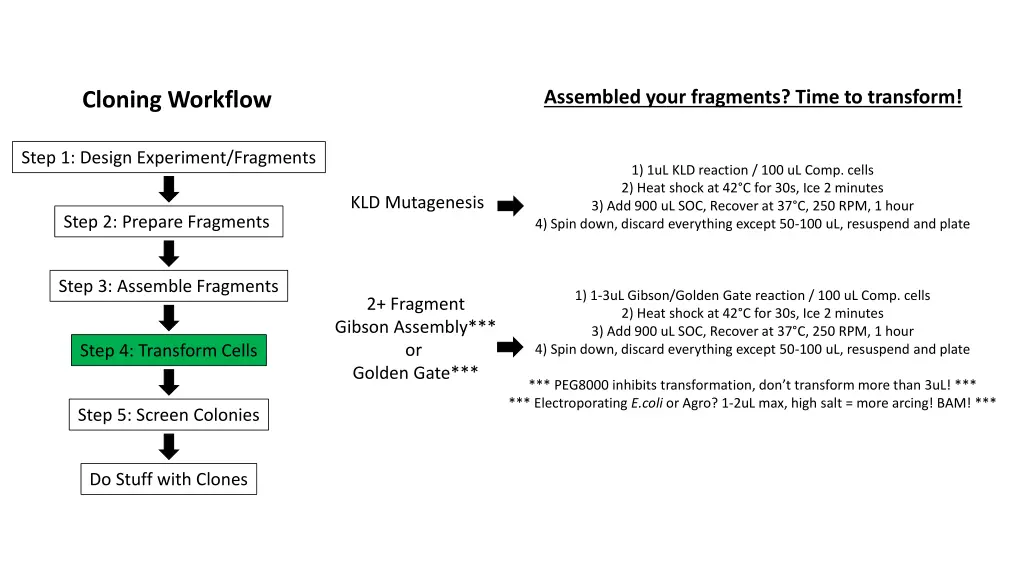 assembled your fragments time to transform