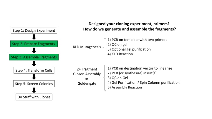 designed your cloning experiment primers