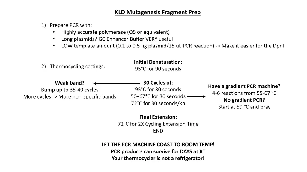 kld mutagenesis fragment prep