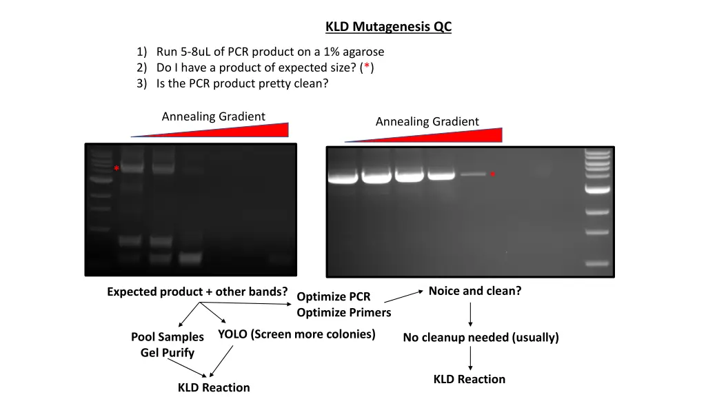 kld mutagenesis qc