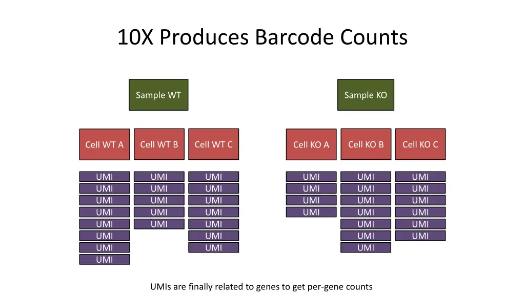 10x produces barcode counts