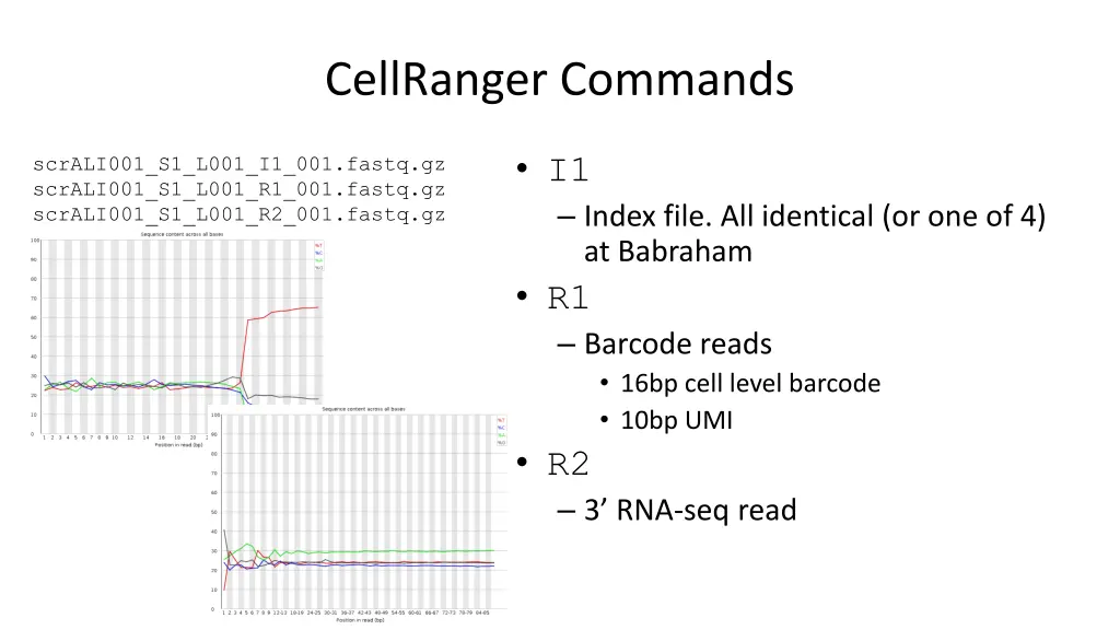 cellranger commands