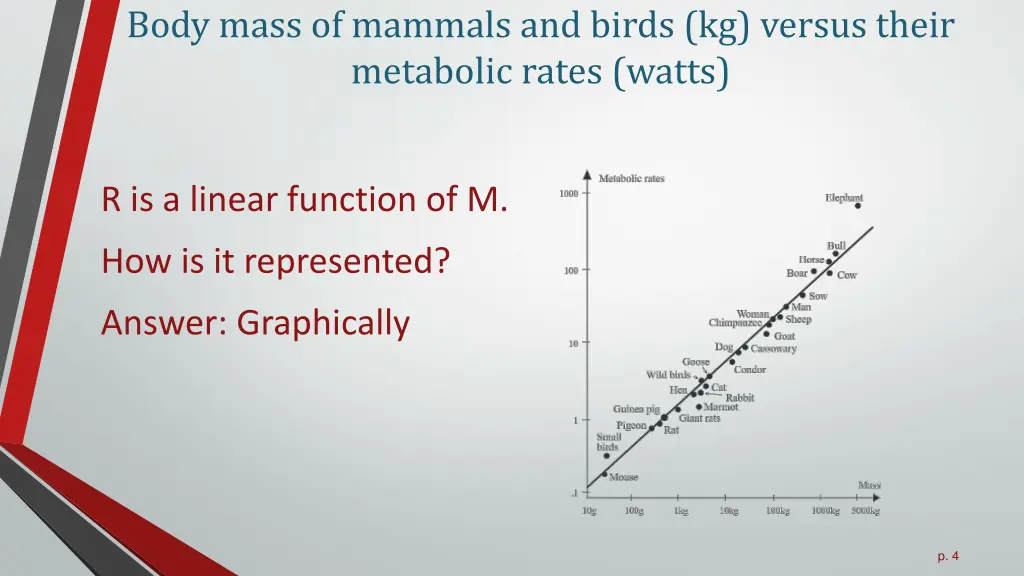 body mass of mammals and birds kg versus their