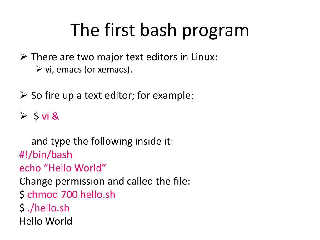 the first bash program