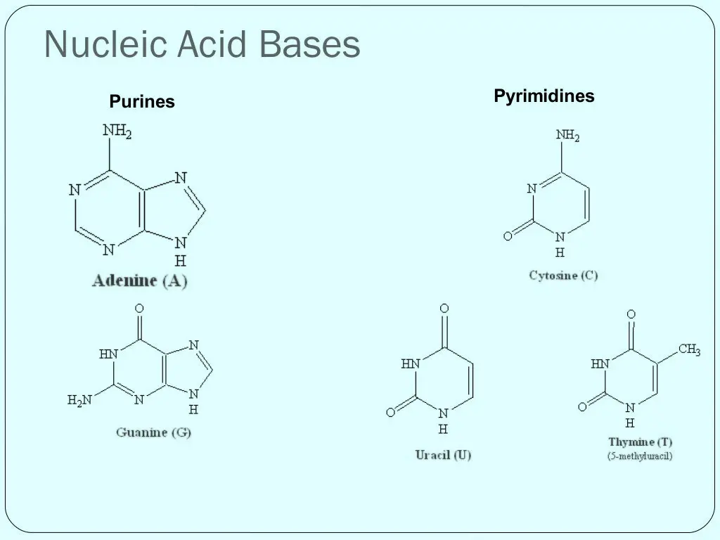 slide11