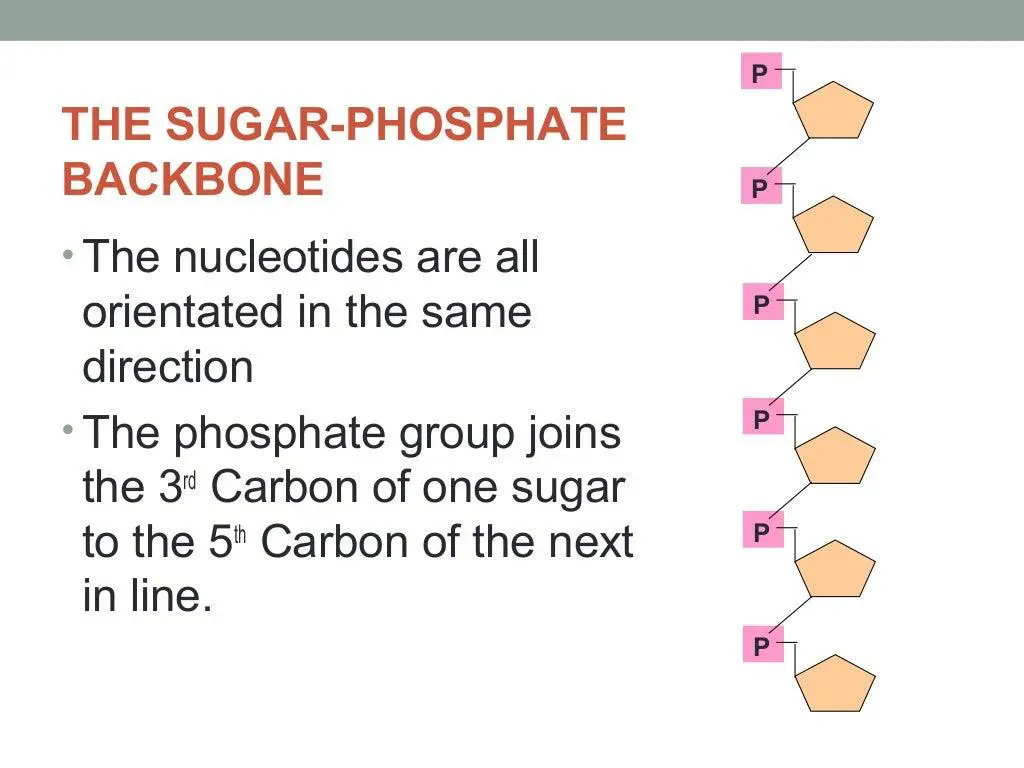 slide14