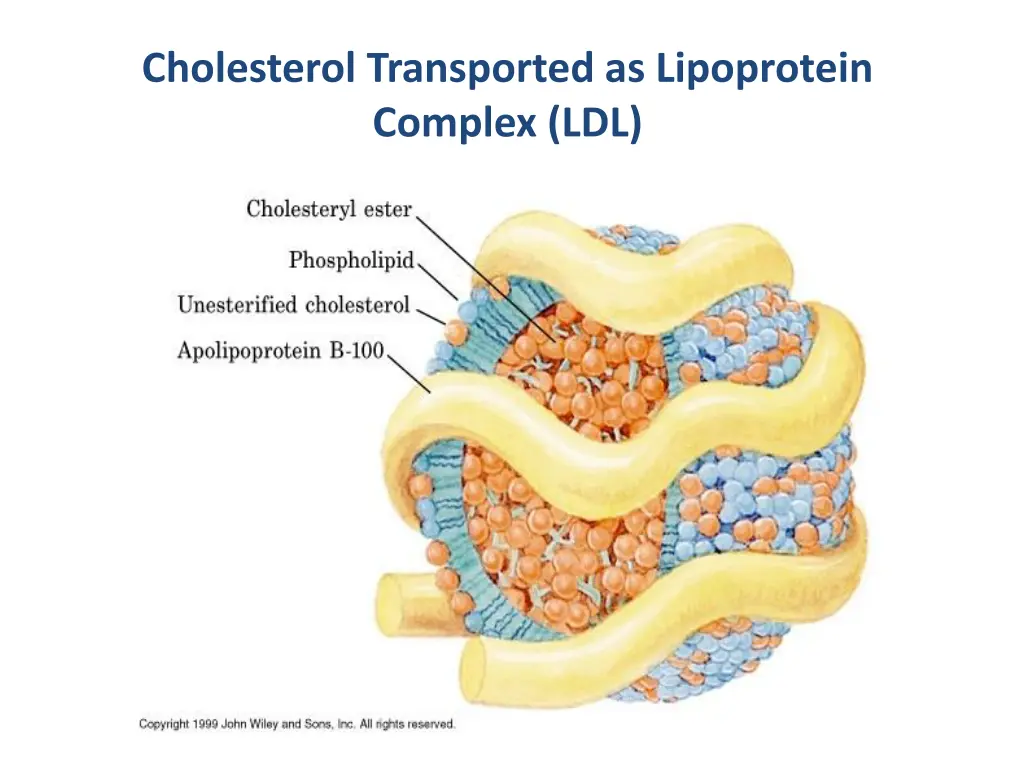 cholesterol transported as lipoprotein complex ldl