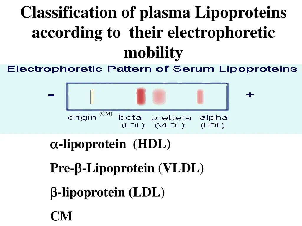 classification of plasma lipoproteins according