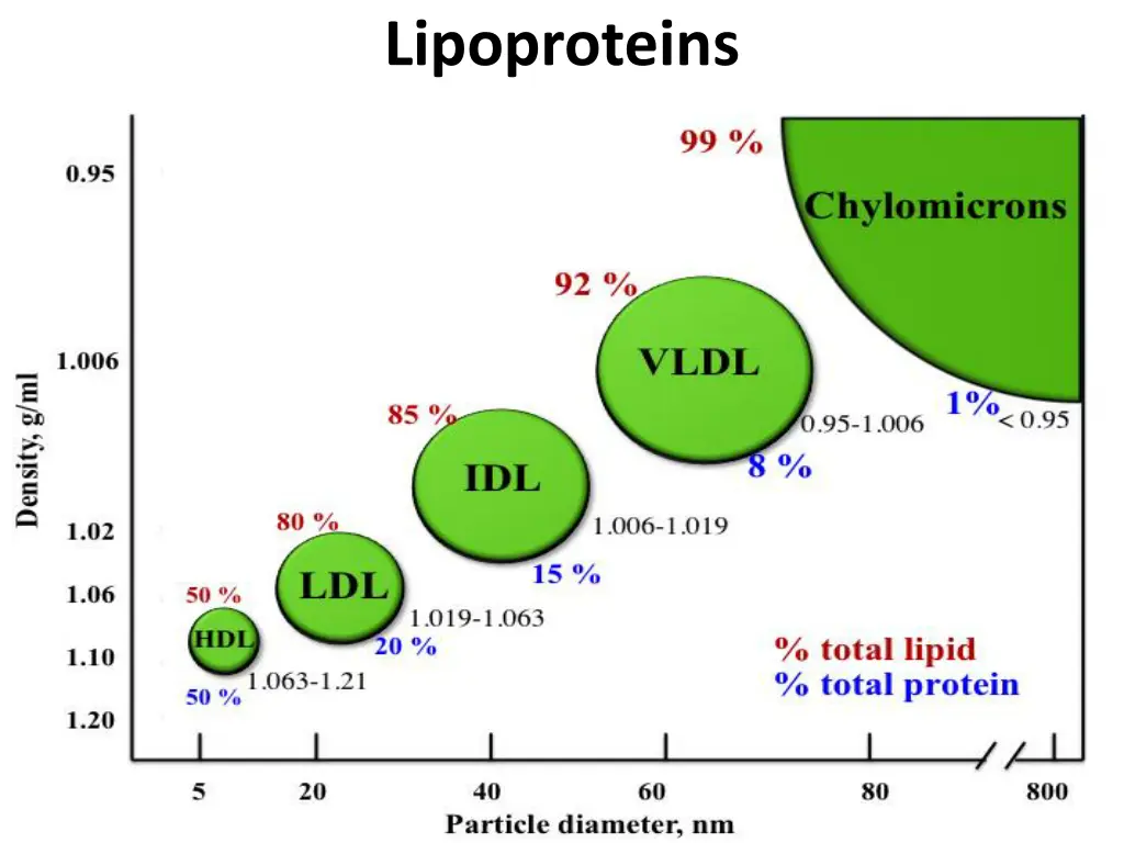 lipoproteins 3