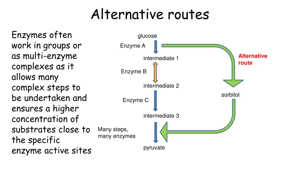 alternative routes 1