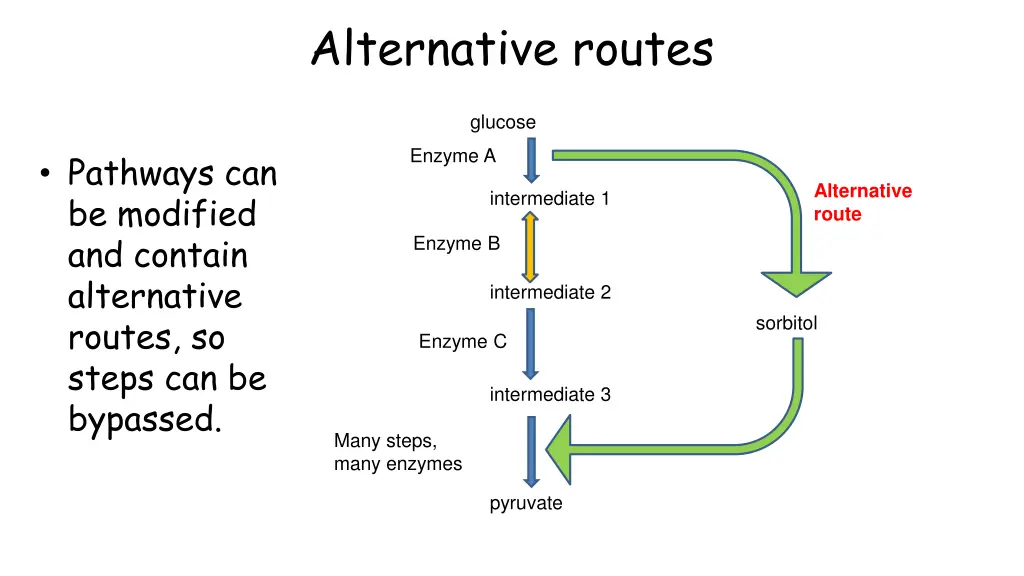 alternative routes