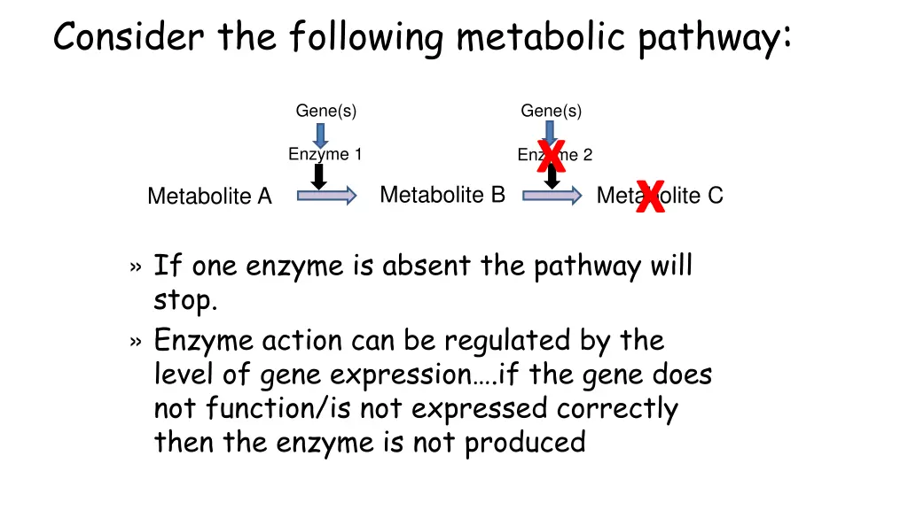 consider the following metabolic pathway 1