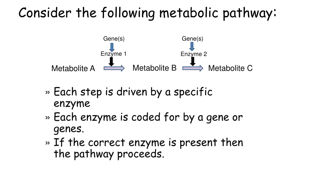 consider the following metabolic pathway