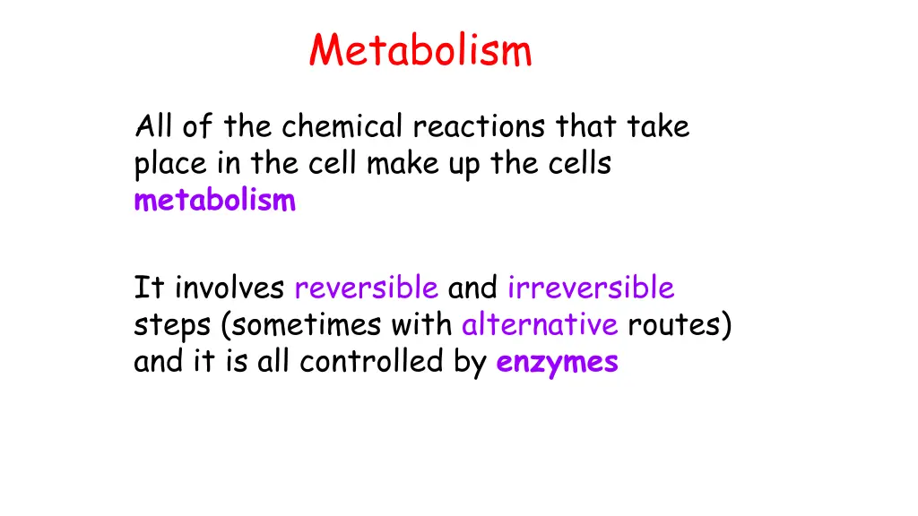 metabolism