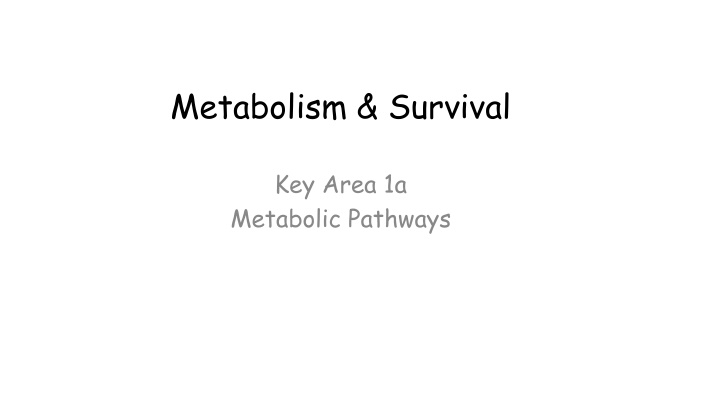 metabolism survival