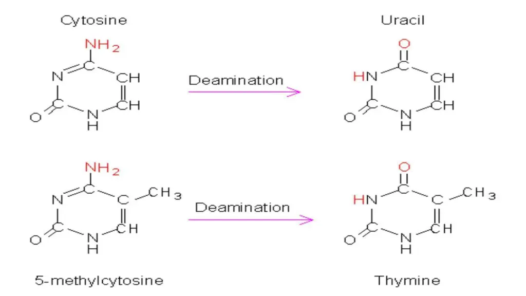 slide16