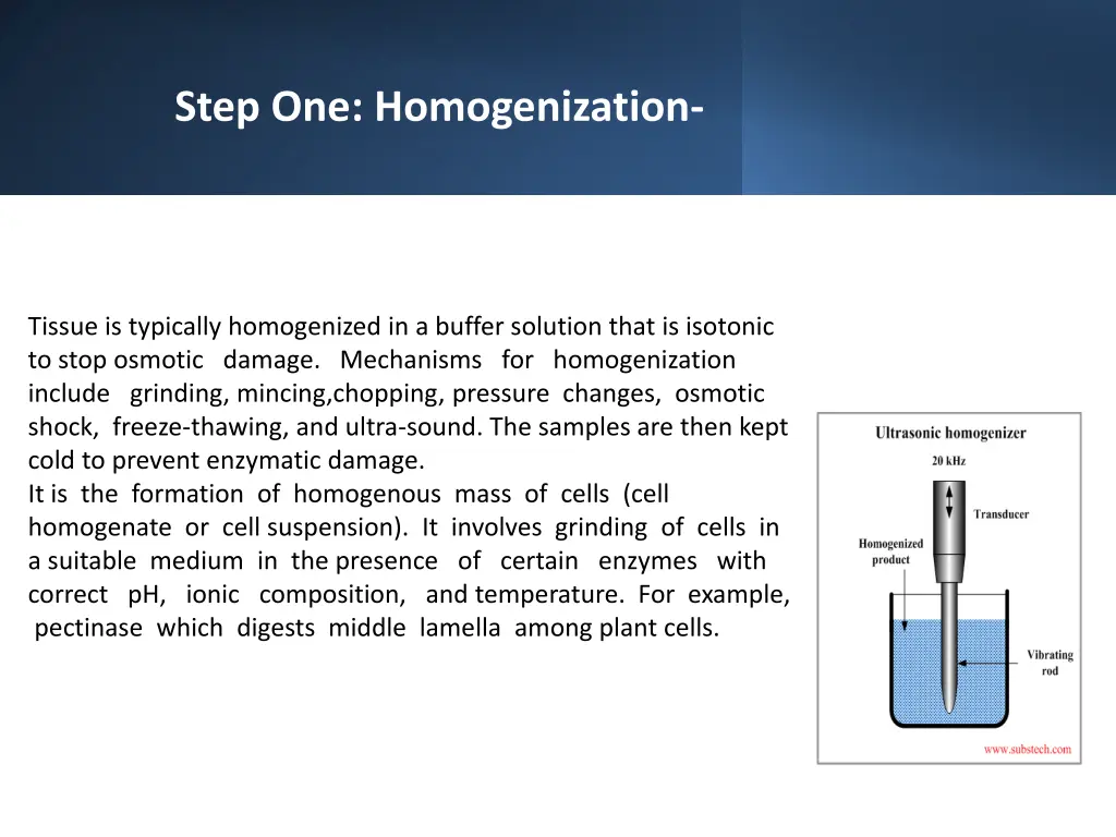 step one homogenization