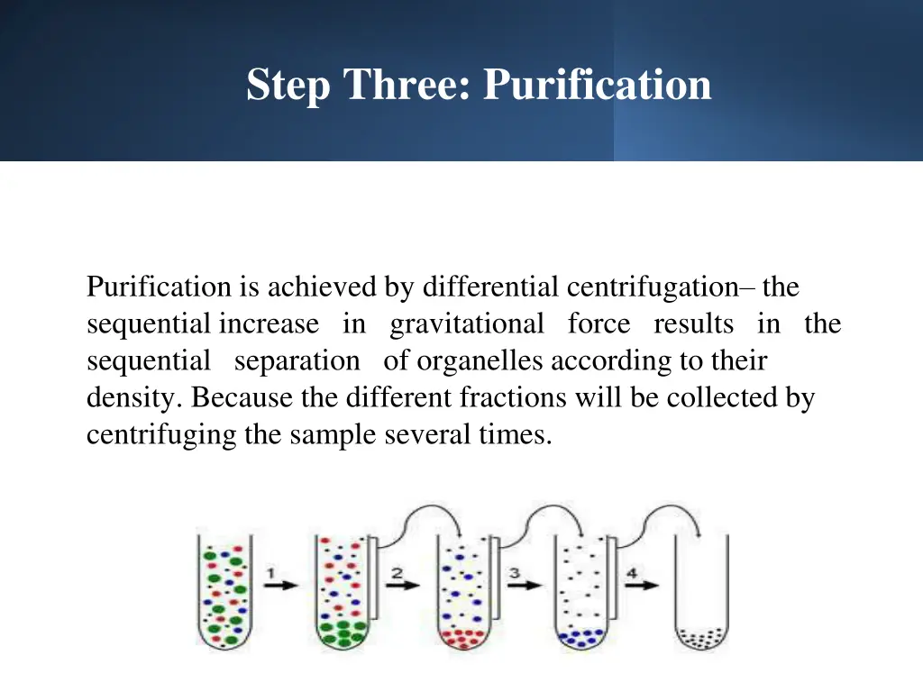 step three purification