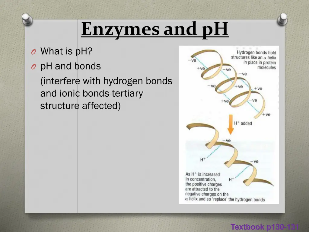 enzymes and ph