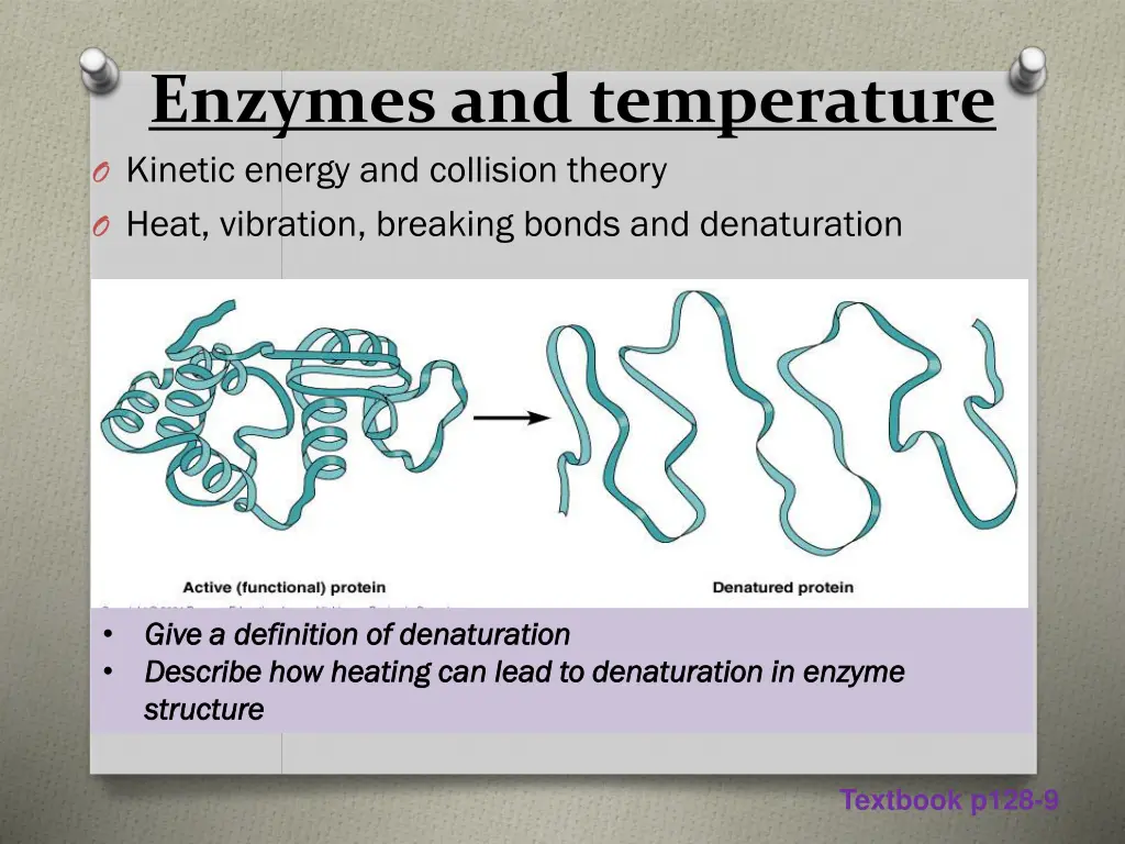 enzymes and temperature o kinetic energy