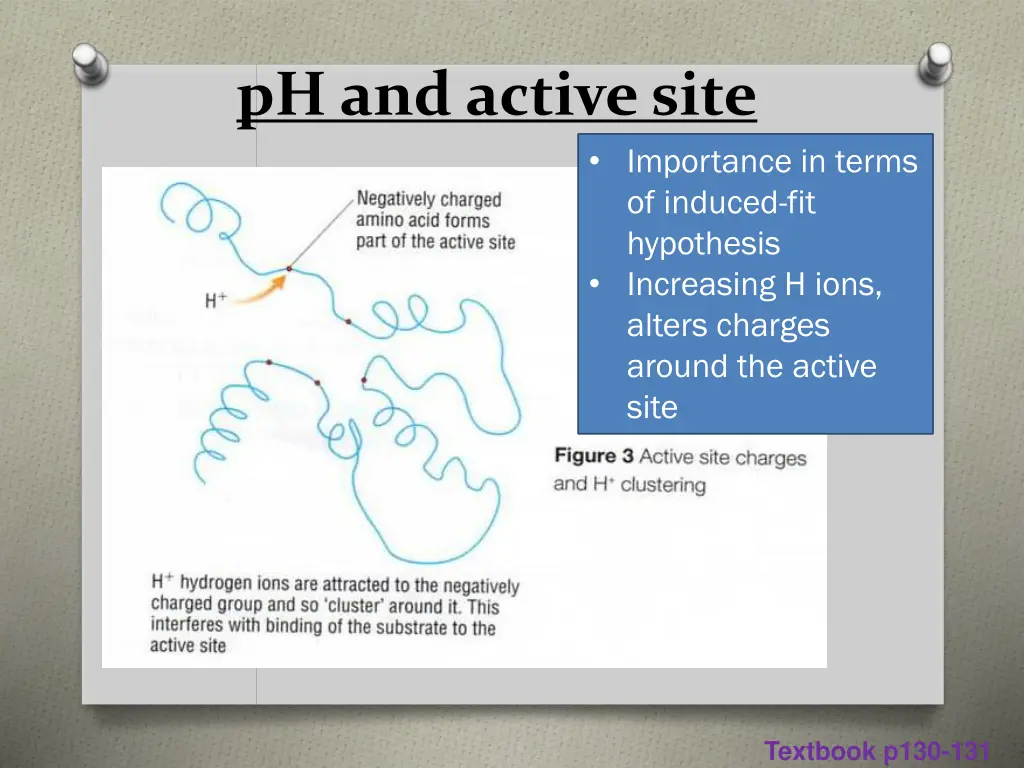 ph and active site