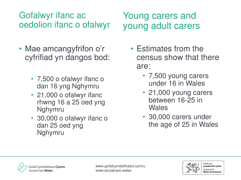 young carers and young adult carers