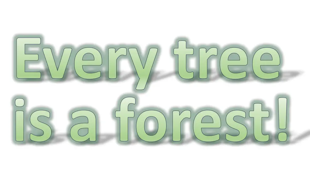 every tree