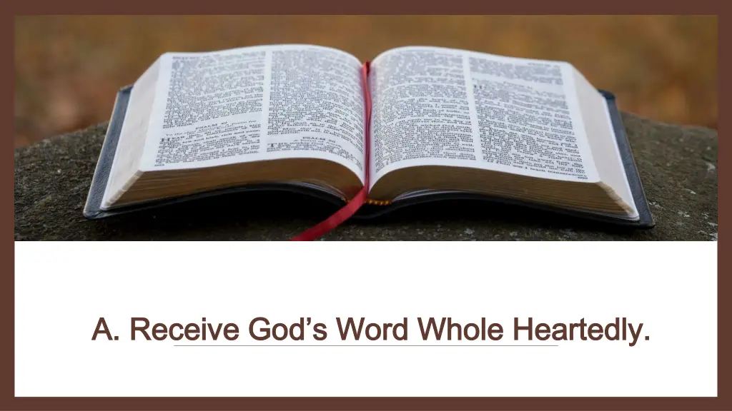 a receive god s word whole heartedly a receive