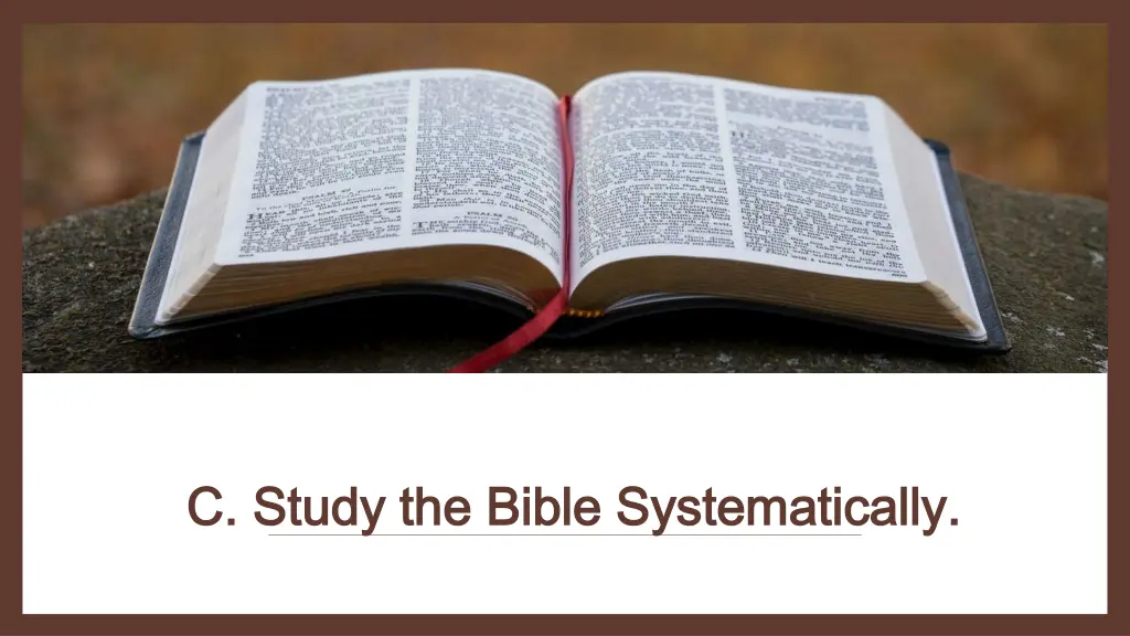 c study the bible systematically c study