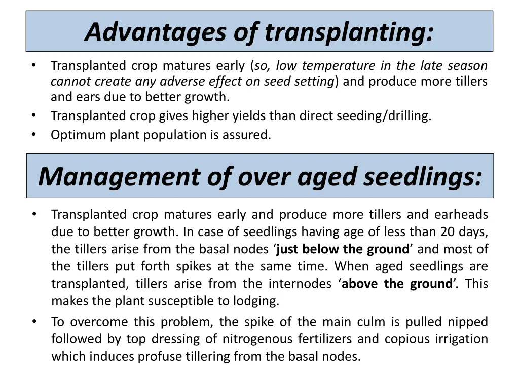 advantages of transplanting