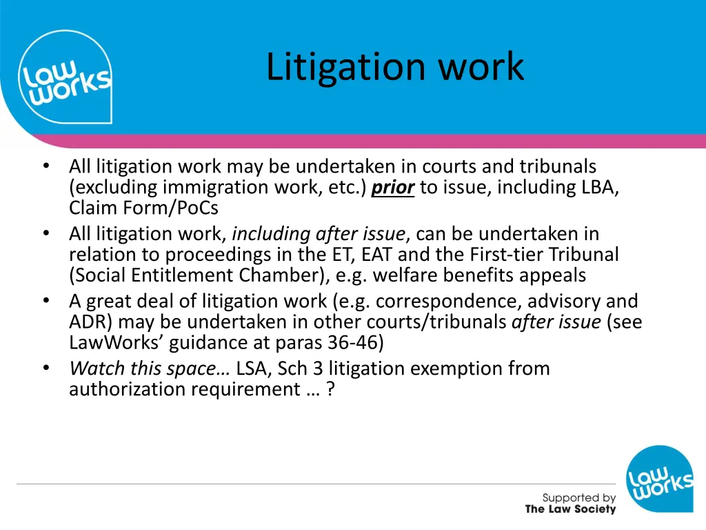 litigation work