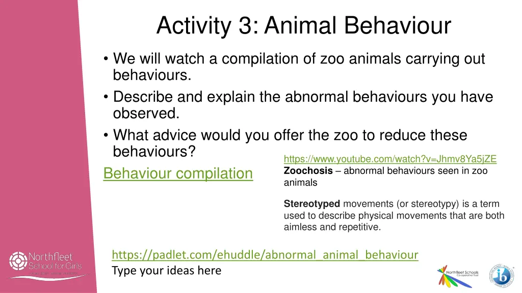 activity 3 animal behaviour