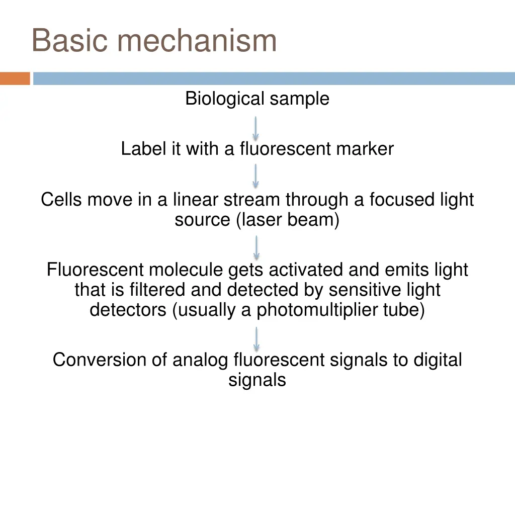 basic mechanism