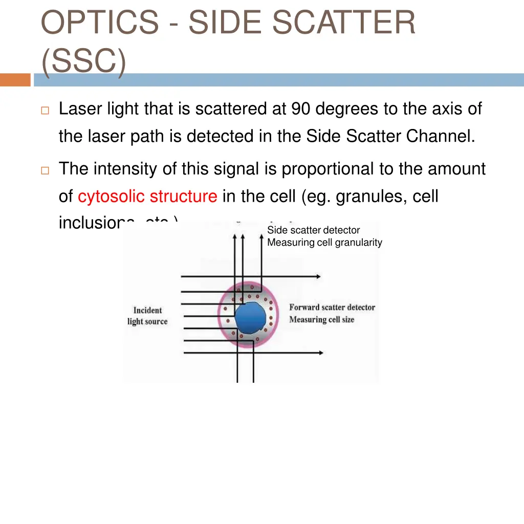 optics side scatter ssc