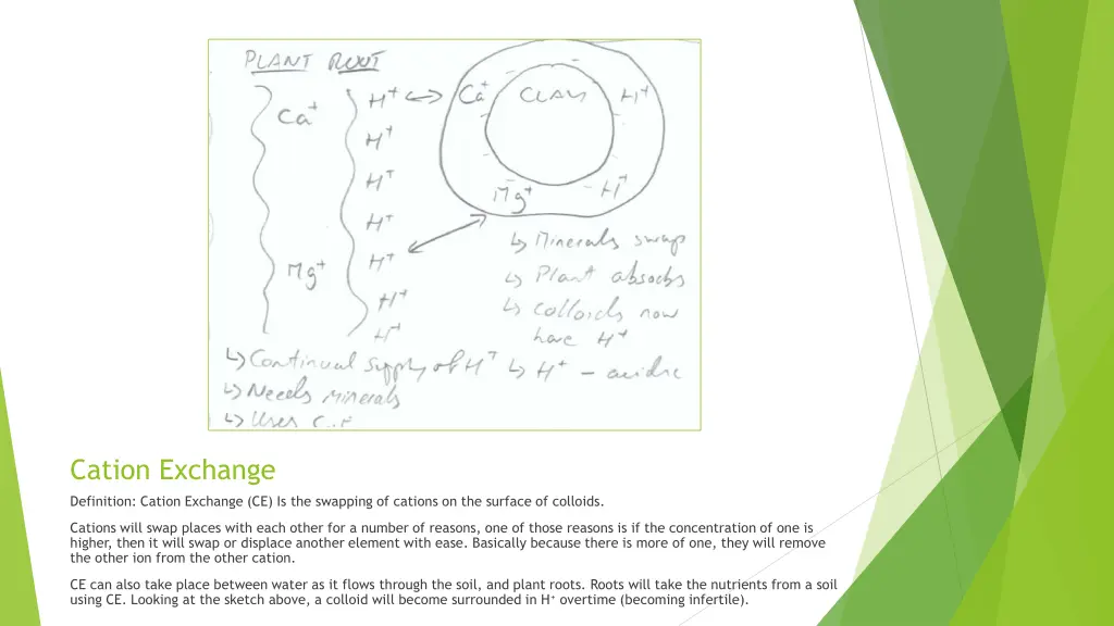 cation exchange