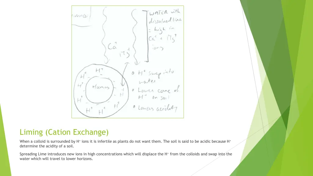 liming cation exchange