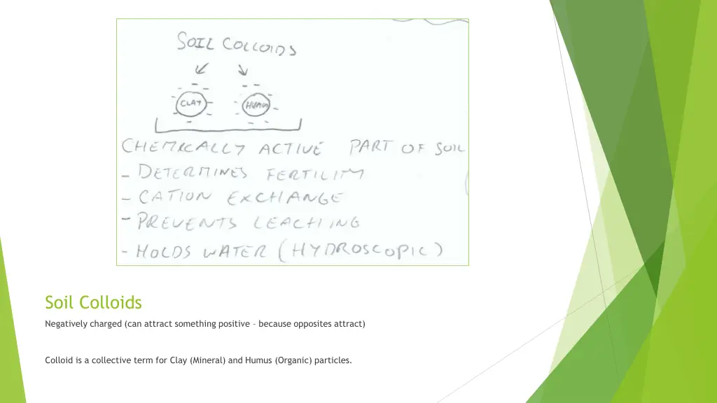 soil colloids