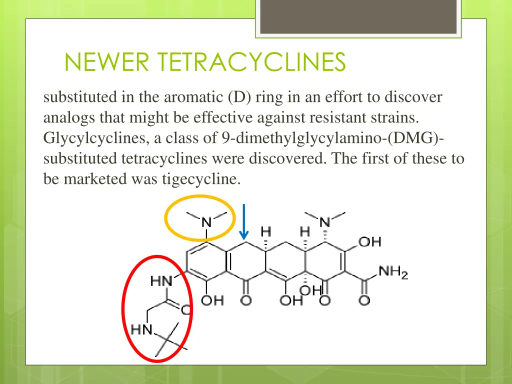 newer tetracyclines