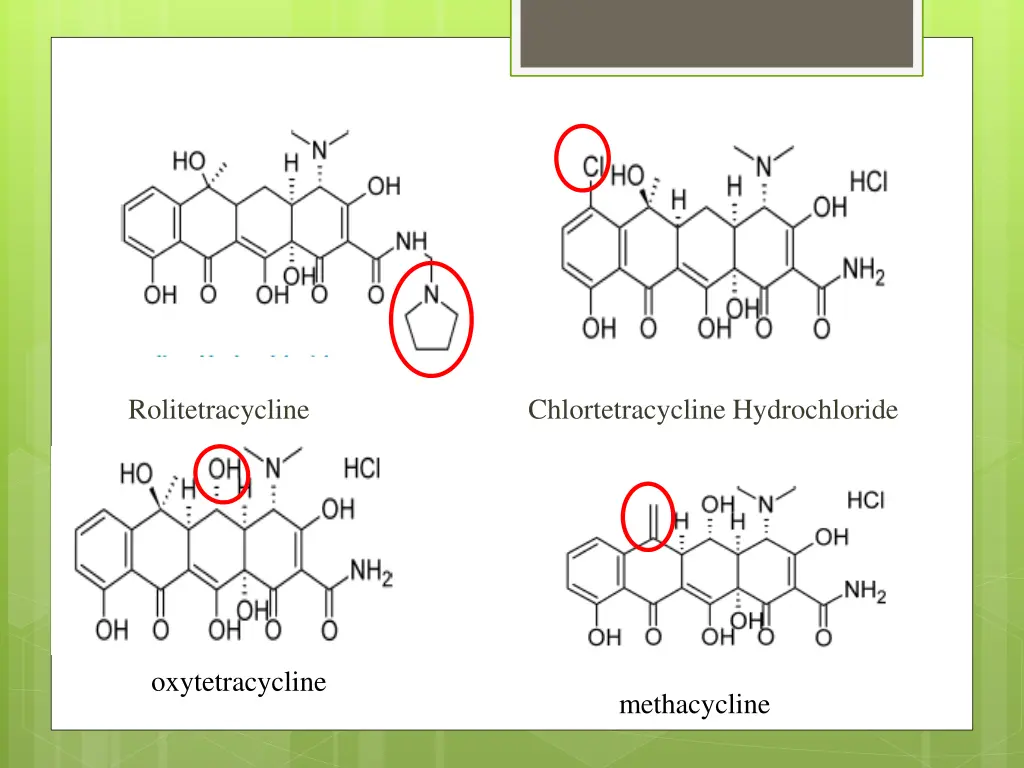 rolitetracycline