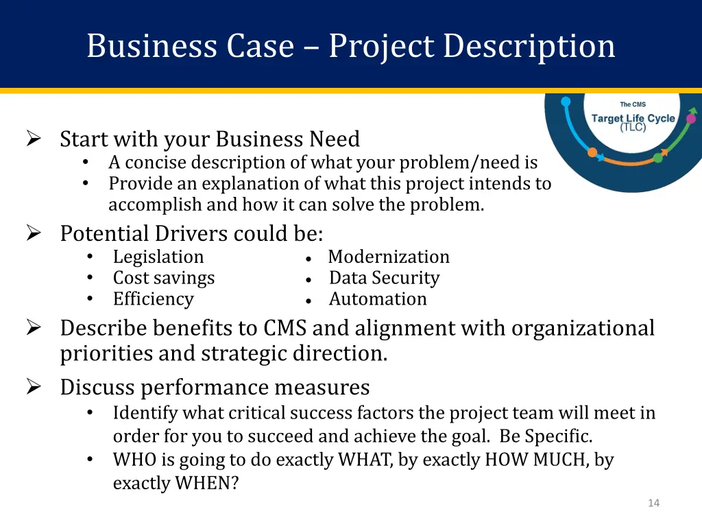 business case project description