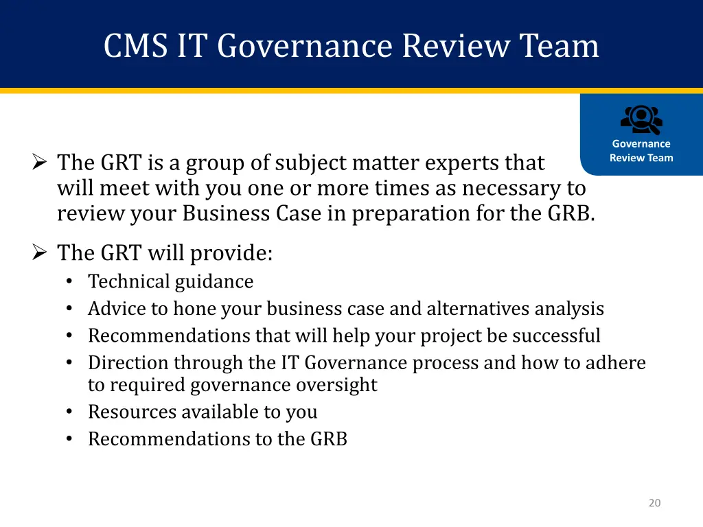 cms it governance review team